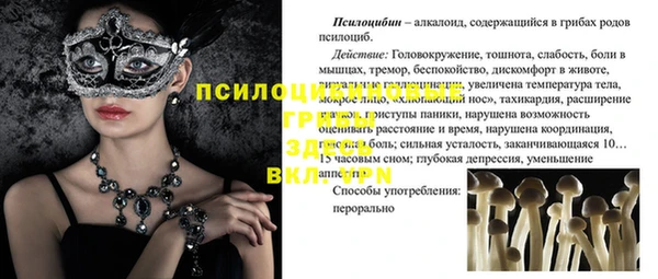 мяу мяу мука Дмитров