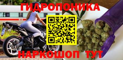 кокс Донской