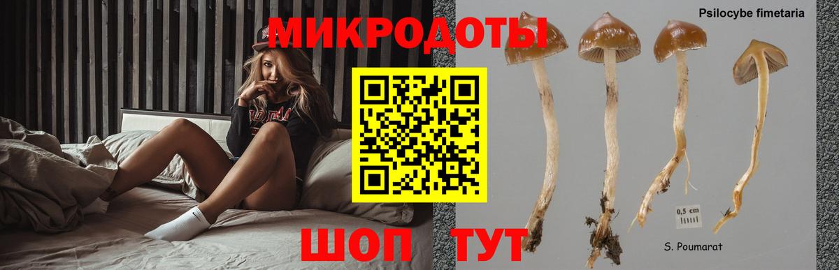 Псилоцибиновые грибы Psilocybine cubensis  Вход с VPN  наркотики  Златоуст 